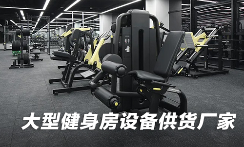 大型健身房设备供货羞羞视频网站免费