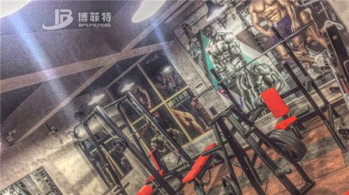 伊拉克客户的健身房图片 羞羞漫画18禁健身器材案例